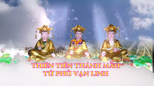 tam tào thánh mẫu 